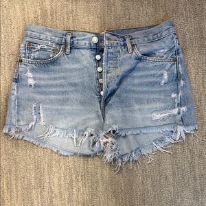 Agolde Parker Shorts